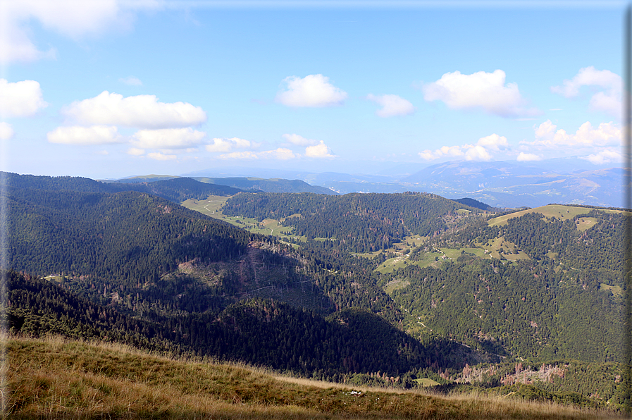 foto Col dell'Orso